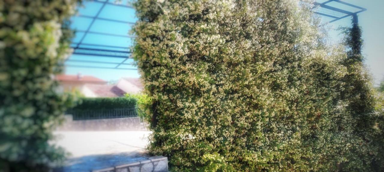 Apartmani Tomislav คิร์ก ภายนอก รูปภาพ